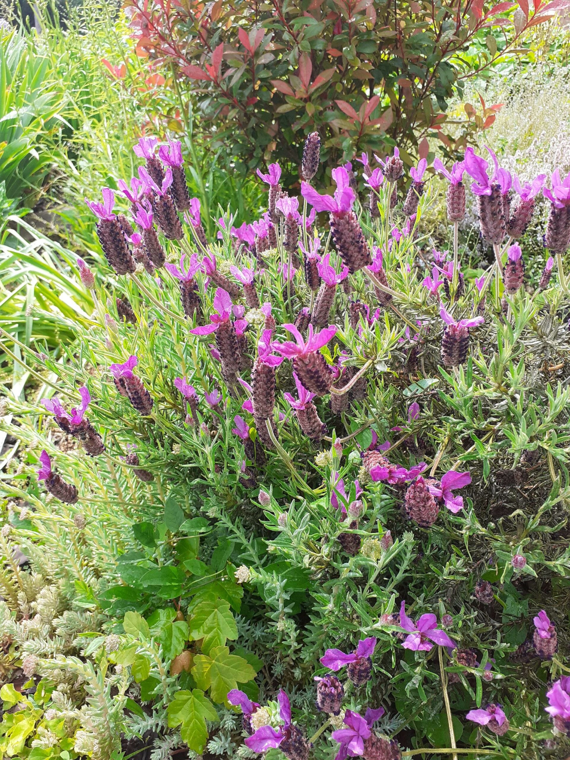 Rencontre au jardin